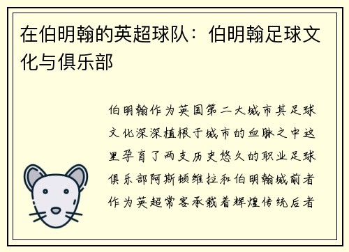 在伯明翰的英超球队：伯明翰足球文化与俱乐部