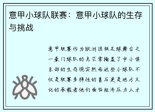 意甲小球队联赛：意甲小球队的生存与挑战