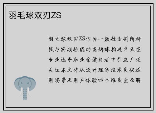 羽毛球双刃ZS